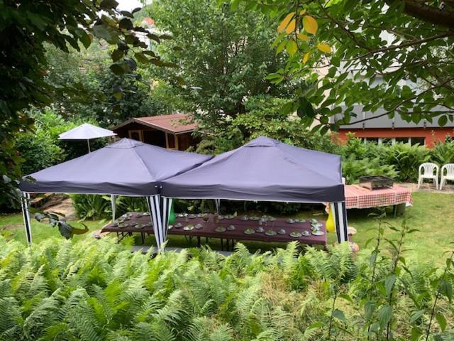 Hotel Sonnenhof Bad Wildbad Exteriér fotografie